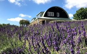 Lavender Hill