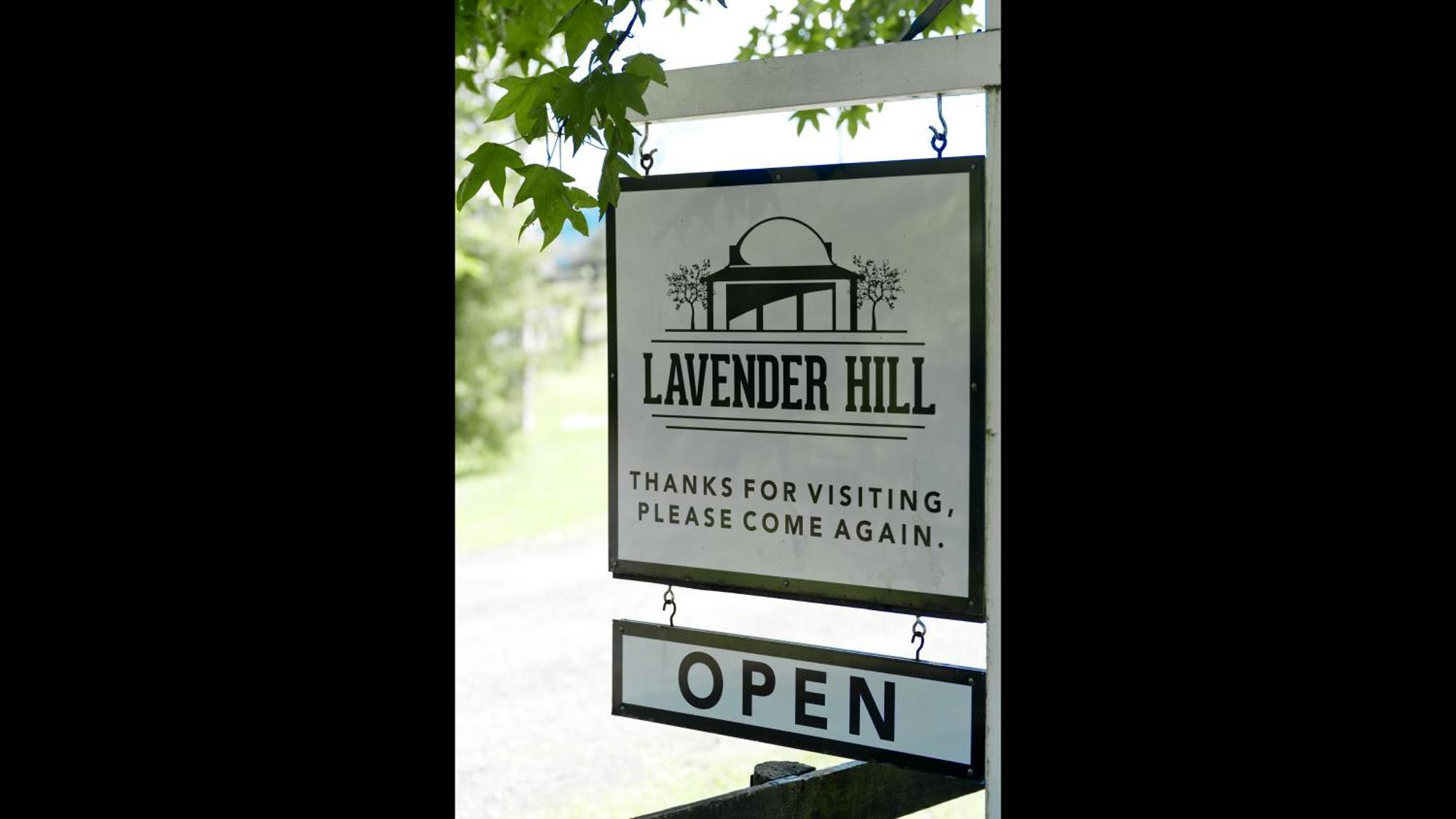 Lavender Hill Bed & Breakfast Riverhead Exterior photo