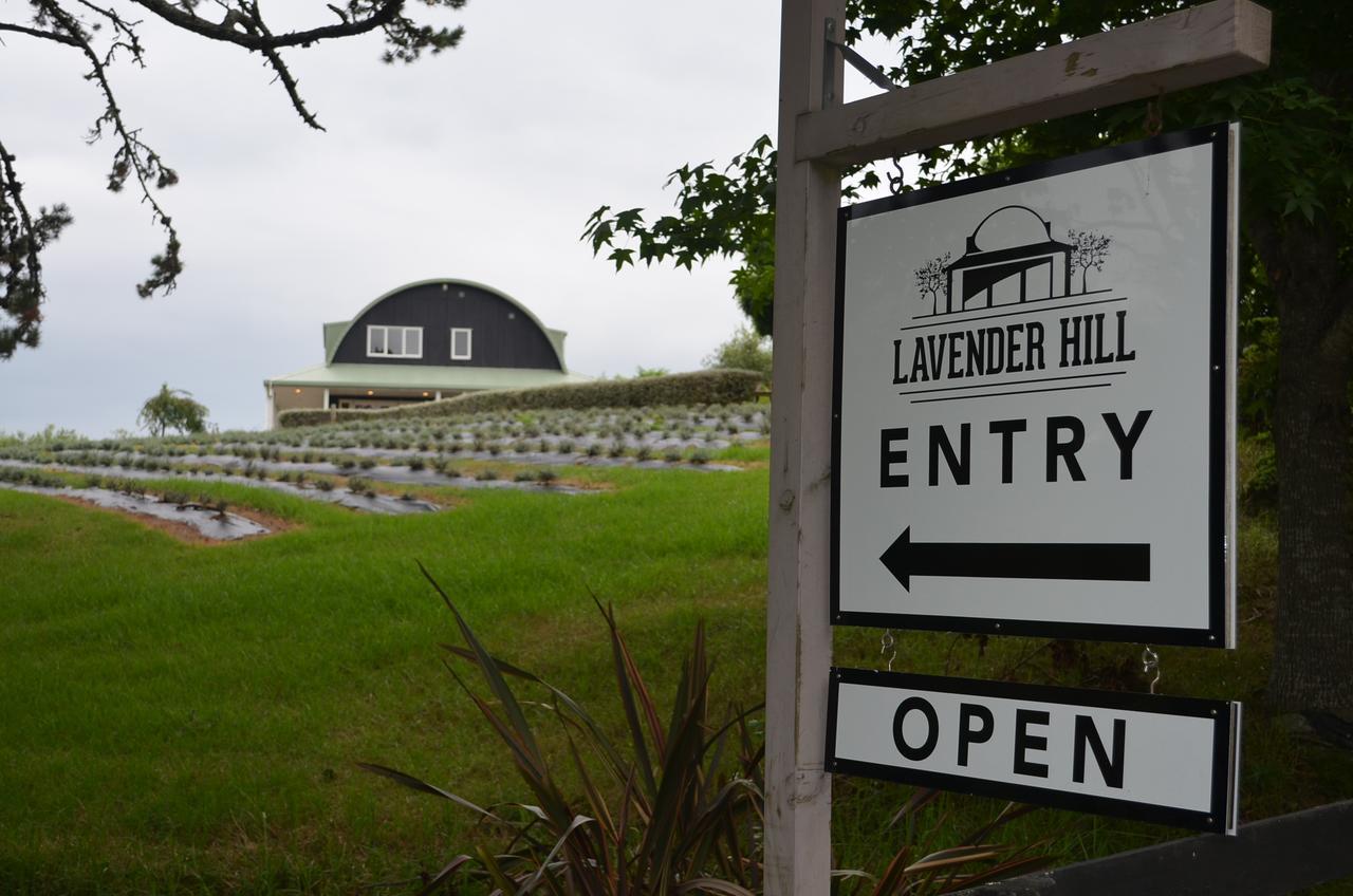 Lavender Hill Bed & Breakfast Riverhead Exterior photo