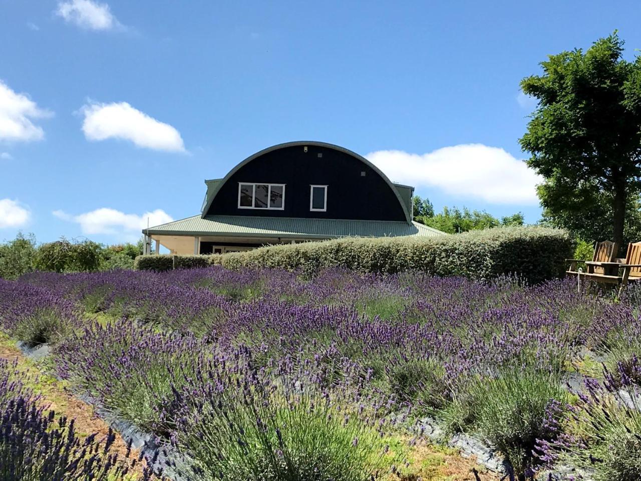 Lavender Hill Bed & Breakfast Riverhead Exterior photo